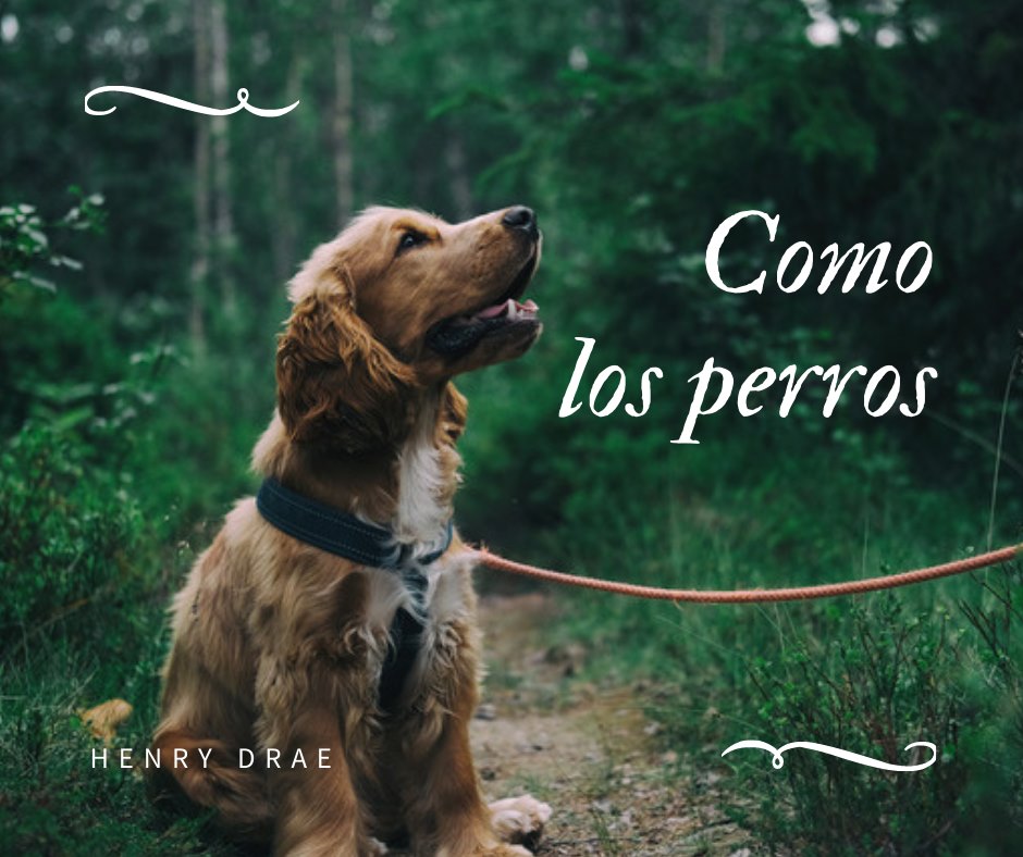 COMO LOS PERROS